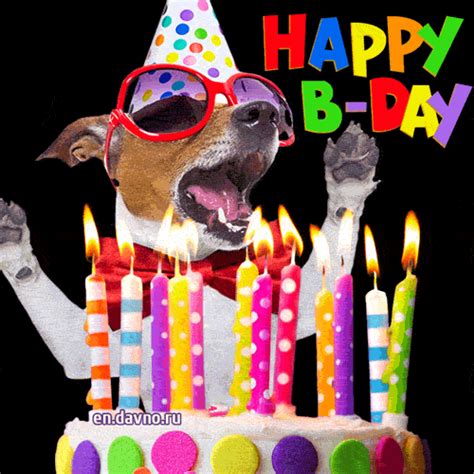 happy birthday dogs gif|More.